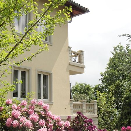 Ferienwohnung Dennstedt Wilkau-Hasslau Exterior foto