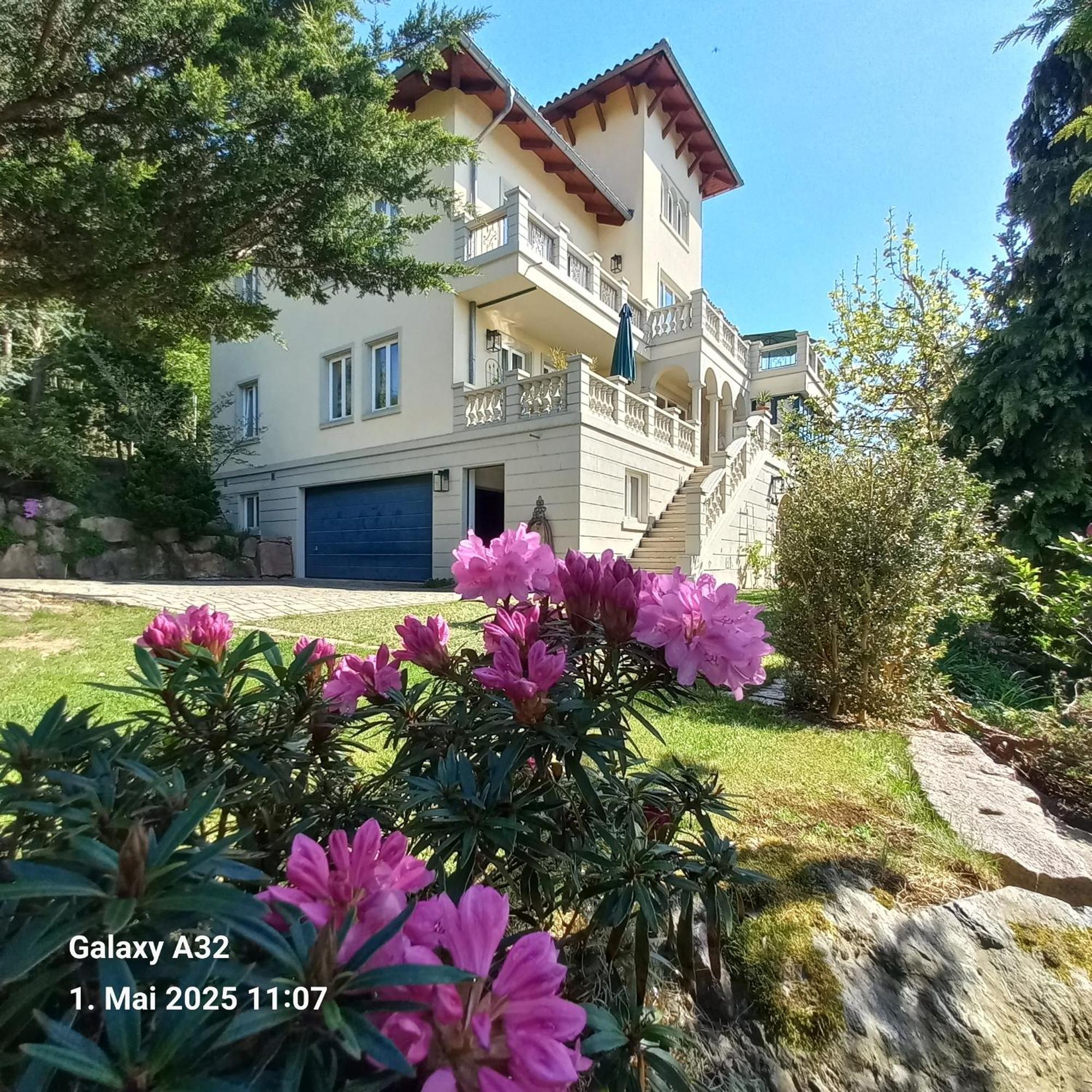 Ferienwohnung Dennstedt Wilkau-Hasslau Exterior foto